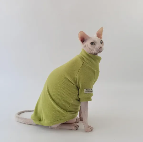 Costumi per gatti Vestiti T-shirt base in cashmere tinta unita Sfinge Cotone tedesco senza peli ad alta elasticità