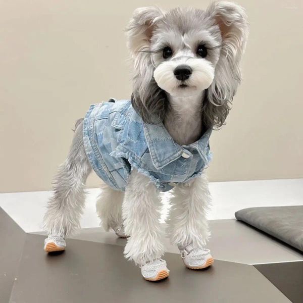 Vestuário para cães Roupas para animais de estimação Moda de verão pequeno colete jeans fresco gato sem pêlos casaco sem mangas