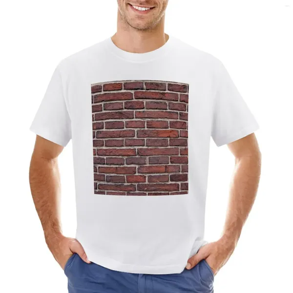 Herren Polos Brick Wall T-Shirt Anime Kleidung Plus Size Tops Schwarze große und große T-Shirts für Männer
