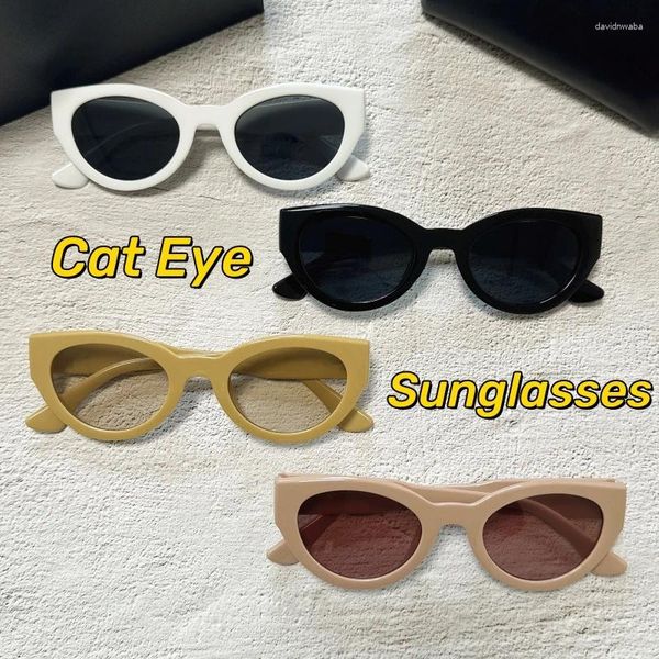 Occhiali da sole retrò con montatura piccola Cat Eye femminile coreano alla moda per le vacanze rosa vento unisex occhiali con protezione UV