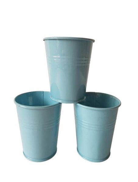 D9XH8CM Mini vasi in metallo Fioriera in latta per piante grasse Secchi regalo Vasi per uova di Pasqua in ferro azzurro Porta bomboniere3903045