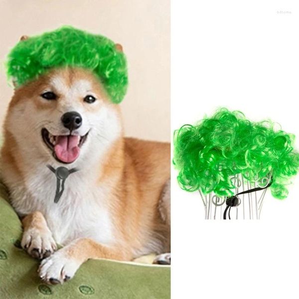 Trasportino per cani Divertenti gatti cani Riccioli verdi Parrucche Costume Capelli Halloween Party Drop