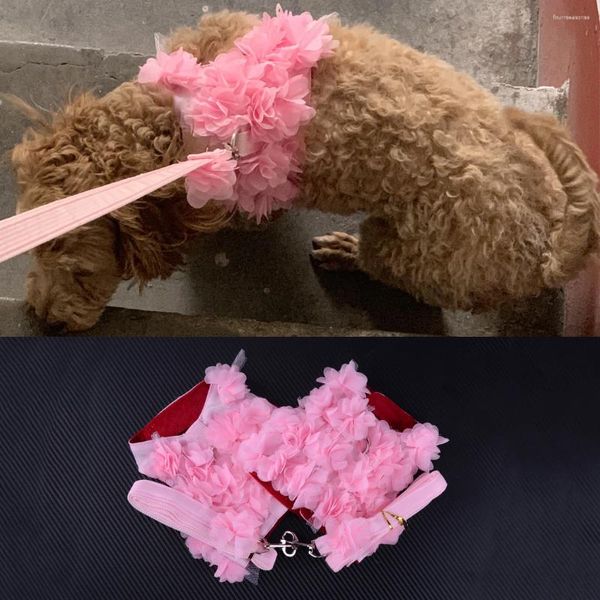 Collari per cani Rosa piccolo cucciolo di animale domestico Gilet da passeggio regolabile Giacca con imbracatura e guinzaglio Set con tessuto fantasia floreale