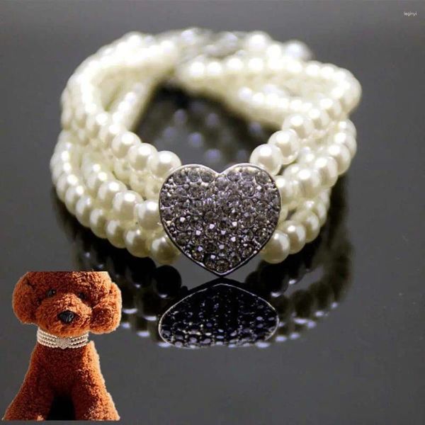 Collari per cani Collana girocollo con strass lucidi di fascia alta Accessori per cuccioli Gioielli Forniture per animali Collare per collana per gatti