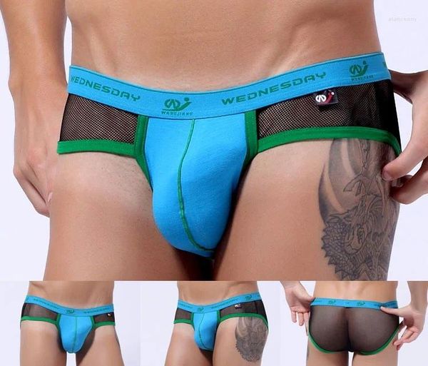 Mutande Intimo da uomo Sito web della fabbrica del commercio estero Will WJ Sette colori settimanali Pantaloni in cotone traspirante Triangolo a rete 1008SJ