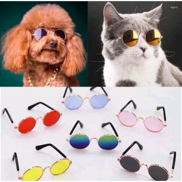 Hundebekleidung 1 Stück Haustier Katze Brillen Produkt für kleine Spielzeug Brillen Sonnenbrille Pos Requisiten Zubehör Vintage