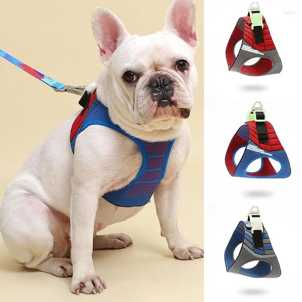 Coleiras para cães Colares de pastor alemão |-f-|Arneses e correias Pooch Pet Products MuAccessories Fivelas de coleira luminosas para SM TODOS os cães