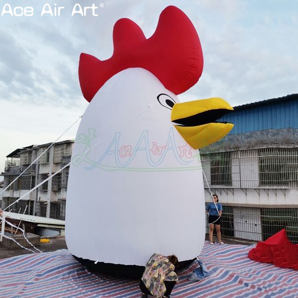 wholesale Beliebter 5 mH aufblasbarer tierischer luftgeblasener Hühnerkopf für Park-Rasen-Dekoration im Freien, Restaurant-Ausstellung, hergestellt von Ace Air Art