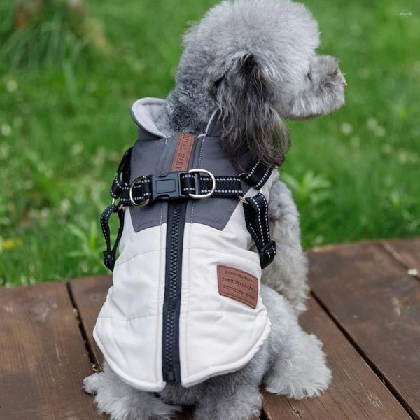 Abbigliamento per cani caldo con cappuccio, gilet, giacca, maglione, giacca a vento con guinzaglio a doppia D
