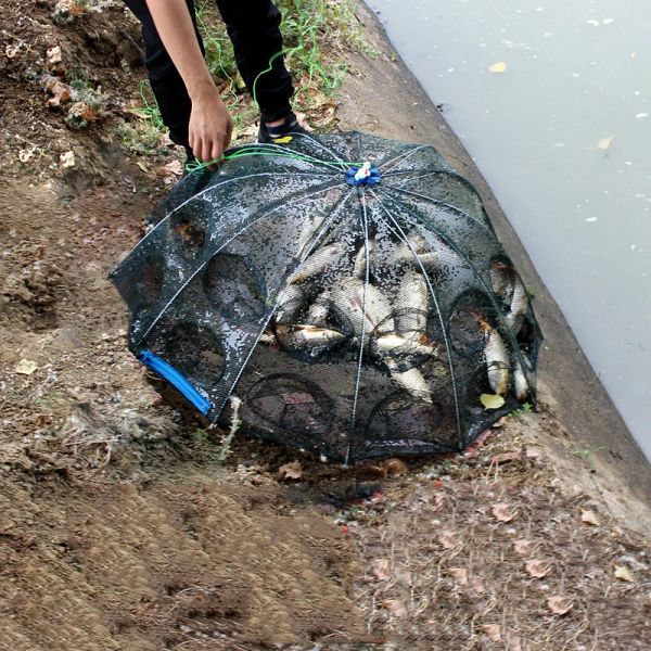 Acessórios 420 buracos reforçados rede de pesca automática gaiola de camarão nylon guarda-chuva dobrável forma caranguejo armadilha de peixe rede fundida rede dobrável