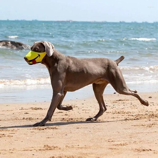 Köpek giyim maskesi ağız kapağı anti ısırık, havlamayı önlemek rahat nefes alabilen zarif nakış açık hava sporları yürüyüş