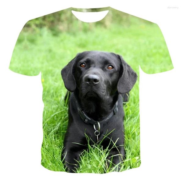 Herren-T-Shirts 2024 3D-gedruckte T-Shirts wie Black Dog Spotted Erha und andere lässige Oberteile sind für Männer in Übergröße