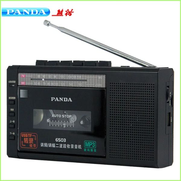 Radio Panda 6503 Registratore Trasferimento su nastro Microfono incorporato Un tasto Registrazione U Disco Tf Card Riproduzione Rec Fm Wm Radio