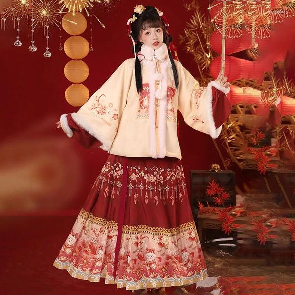 Ethnische Kleidung Chinesischer Hanfu-Damen-Ming-Stil, quadratischer Ausschnitt, halbärmeliger Plüsch-Pferdegesichtsrock für die Neujahrsgrüße im Winter