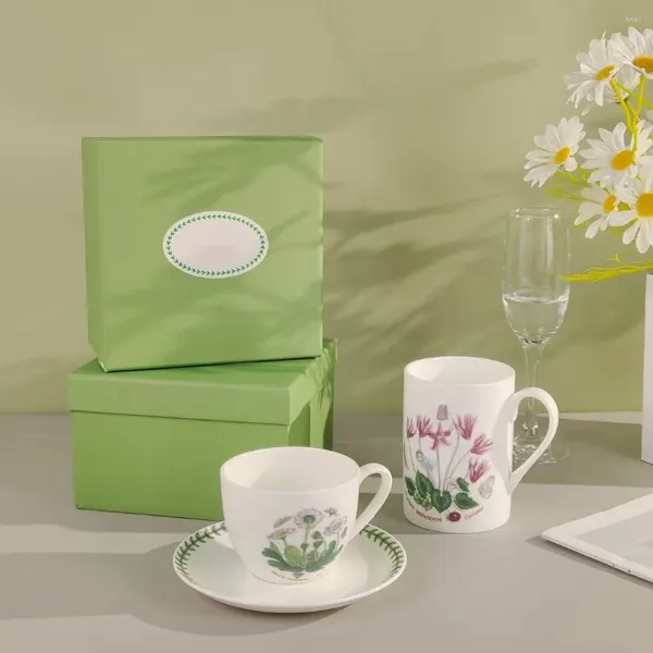 Xícaras Pires Cerâmica Europeia Caneca de Café Xícara e Pires Planta Flor Mão Desenhada Moda Criativa Escritório Doméstico Caixa de Presente de Chá da Tarde