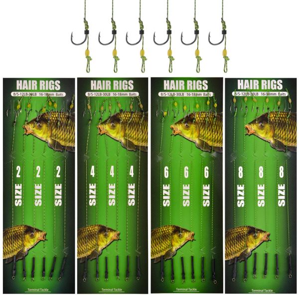 Ami da pesca 24 pezzi Leader Ami da pesca alla carpa Hair Rigs con linea intrecciata Dimensioni 2/4/6/8 # Pesca alla carpa Ready Made Tied Rigs Terminal Tackle