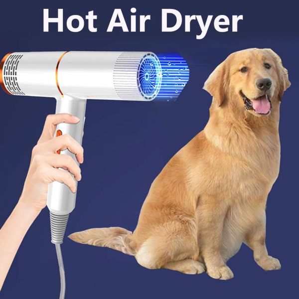 Secador cão cuidador secador pêlos de gato de gato vento quente 1000w plug plug plug fria ar quente com aquecedor para cachorro pequeno médio