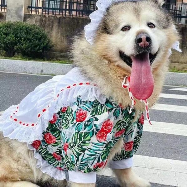 Cão vestuário gato roupas empregada cosplay outfit mais laço com chapéu kawaii gatos cães pet halloween traje saia gota