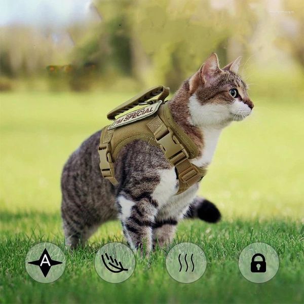 Costumi per gatti Imbracatura per gilet regolabile Imbracature tattiche Guinzaglio Set Walking Mesh traspirante Vestiti per animali domestici per gattini di grandi dimensioni Cani di piccola taglia