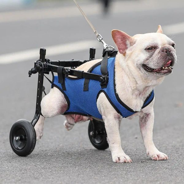 Ausrüstung Einstellbare Hinterbein Behinderte Haustier Katze Hund Mobilität Hilfe Trolley Beine Rehabilitation Licht Haustier Rollstuhl Spaziergang Werkzeuge