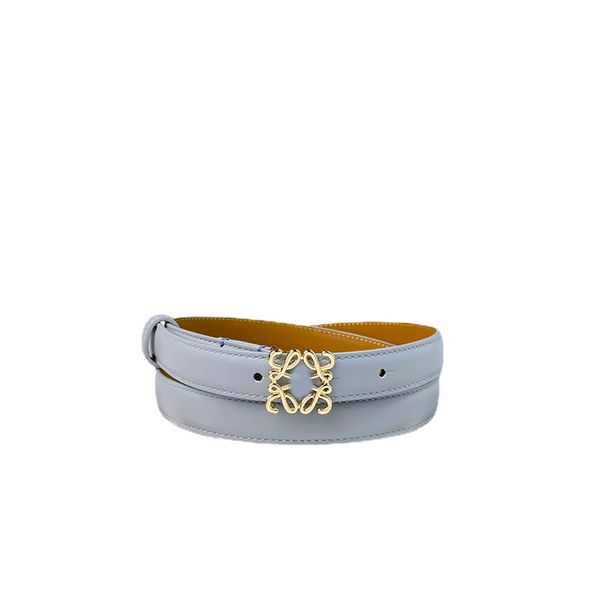 Cintura di design da donna Elastica Elastica di alta qualità Cintura di cinghia in pelle vera fibbia cintura da donna di lusso con scatola di lusso