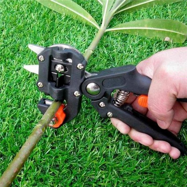 Lapidi Innesto Potatore Giardino Innesto Strumento Professionale Ramo Cutter Secateur Potatura Piante Cesoie Scatole Forbice per Innesto Alberi da Frutto