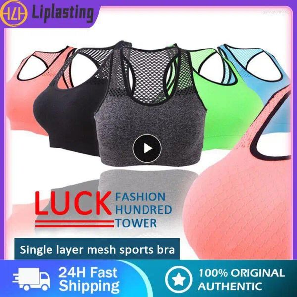 Camisas ativas 1 pçs malha sutiã esportivo oco para fora esporte superior sem costura fitness yoga sutiãs feminino ginásio acolchoado correndo colete à prova de choque push up colheita