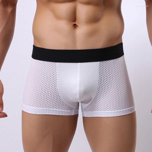 Mutande Vendi boxer modali Slip traspirante Intimo da uomo Abbigliamento maschile Moda classico velato