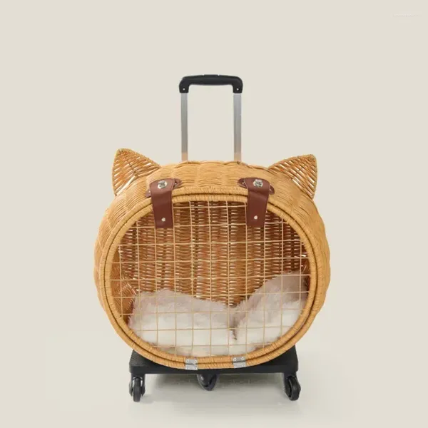 Portadores de gato bonito transportador suprimentos designer viajando ao ar livre bagagem portátil respirável gaiola de rodas despeje chat pet