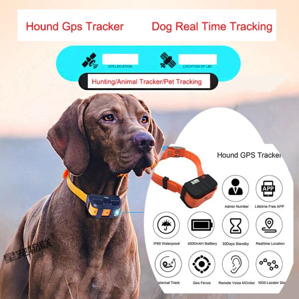 İzleyiciler Pet Tracker GPS Köpekler için Yaka Yüzey GPS Hayvan Gerçek Zamanlı İzleme IP67 Orta Büyük Köpekler İçin Su Geçirmez Tazı Bulucu
