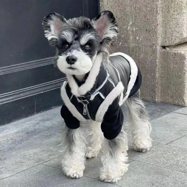 Giacca da motociclista integrata in pelliccia ispessita per abbigliamento per cani per vestiti per gatti di piccola taglia Abbigliamento invernale Teddy Schnauzer di Pomerania