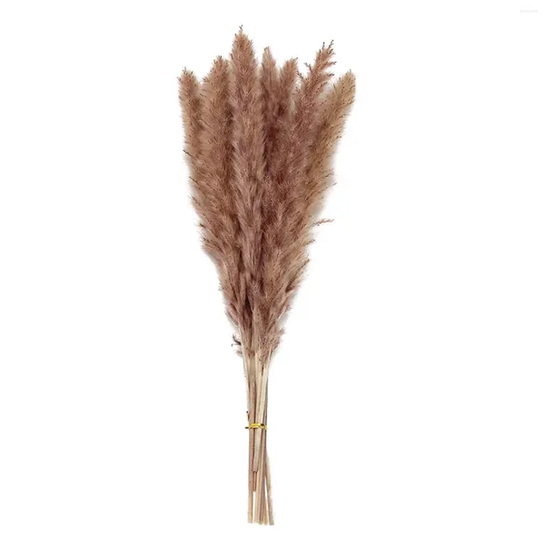 Flores decorativas flor artificial pampas grama plantas secas natural decoração de casa buquê doméstico para casamento net vermelho pouco