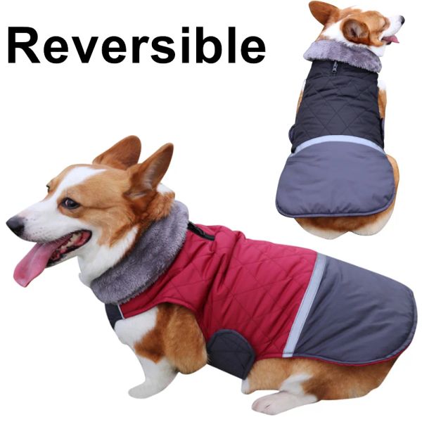 Ceket köpek kıyafetleri sonbahar kış büyük kürk yakalı çift giyebilir su geçirmez yansıtıcı köpek ceket giysileri evcil hayvan pamuk ceket giyebilir