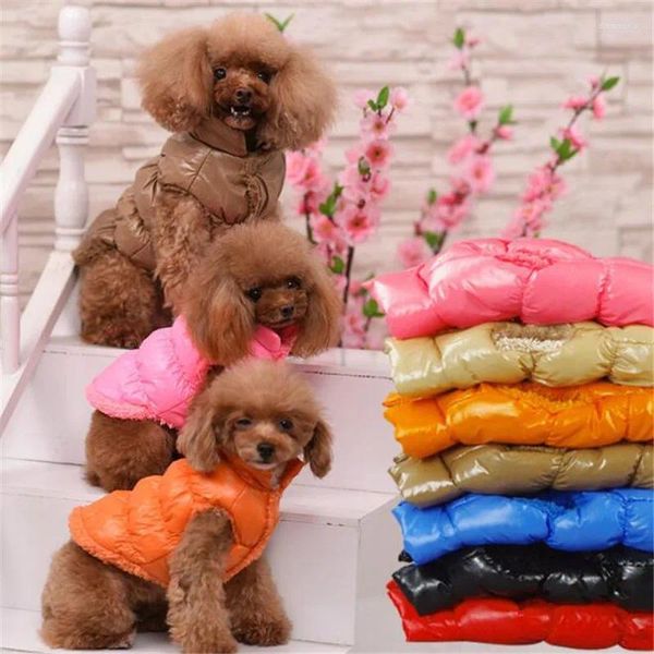 Abbigliamento per cani Piumino caldo Abbigliamento invernale per animali domestici Cappotto piccolo imbottito in cotone Gilet soprabito resistente al freddo per Chihuahua Teddy Cat