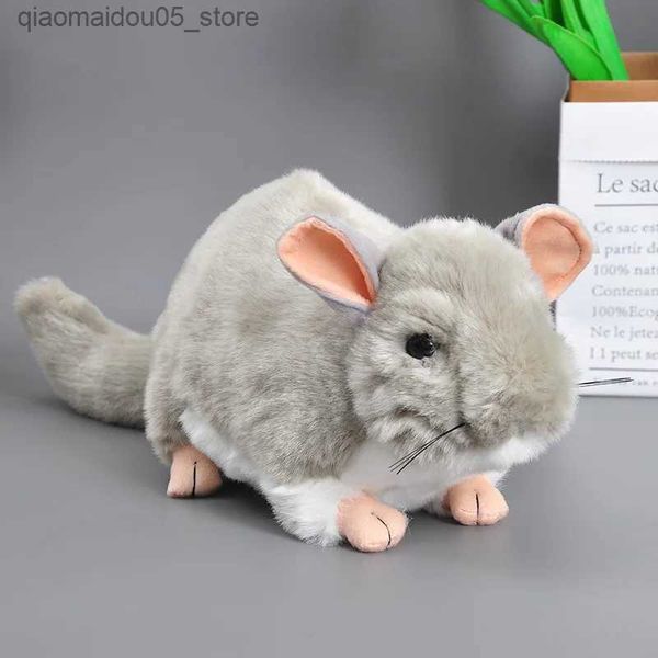 Plüschpuppen, 25 cm, echtes Leben, fettes Chinchilla, Plüschfüllung, Tier, Stofftier, niedliche Chinchilla, Lanni Granmolina, Plüschpuppe, Geschenk für Kinder, Maskottchen Q240227