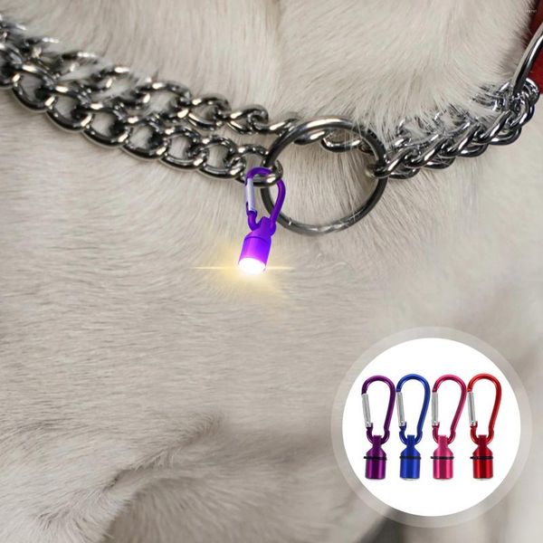 Collari per cani 4 pezzi Moschettoni Clip Collare per animali Etichetta LED Lampeggianti di sicurezza Lampada glitterata grande