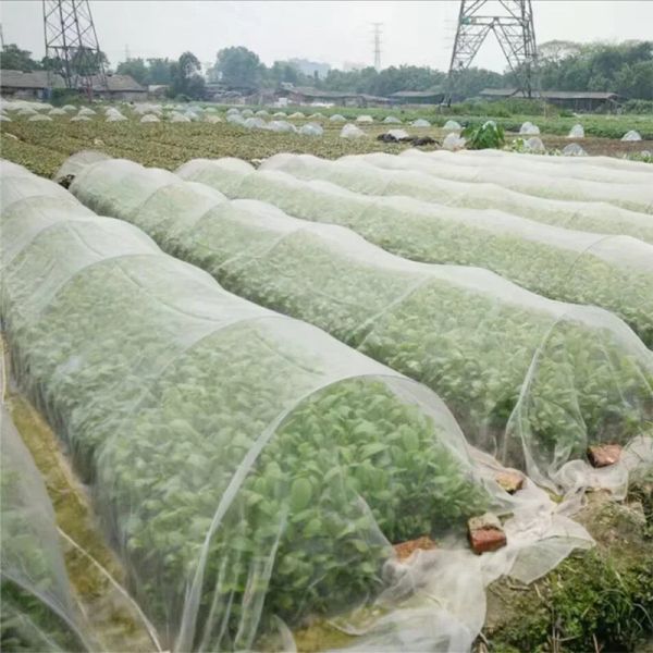 Rede de proteção para cuidados com flores e plantas, malha de controle de prevenção de pragas e pássaros, jardim, 6/10m de comprimento