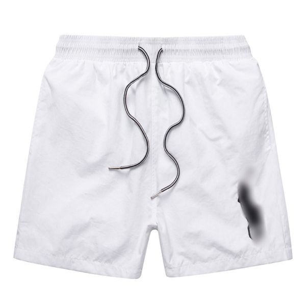 2024 Herren-Shorts, Designer-Sommer-Badeshorts, großes Pferd, Stickerei, atmungsaktiv, Strand, kurz, Polo, schnell trocknend, Surf-Mesh-Stoff, kurz