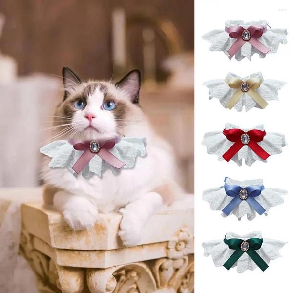 Coleiras de cachorro Pet Collar Rhinestone Decor Cat Bib Gatinho Filhote de Cachorro Bowknot Floral Lace