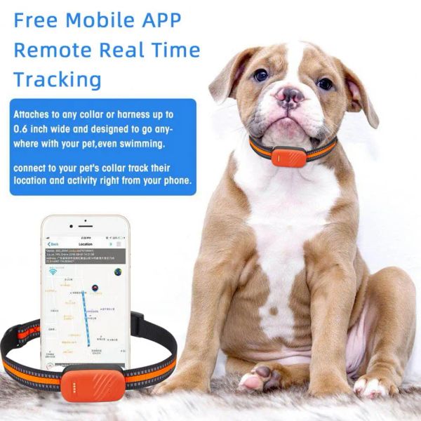 Trackers Haustier Hunde GPS Lange Standby-Zeit 700 mAh Flucht Alarme 4G Pet Tracker Smart Halsband Gerät GPS Tracker telefon Zubehör