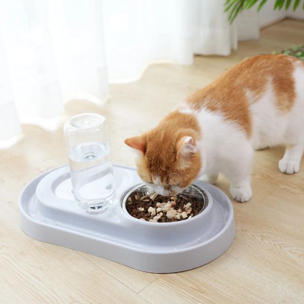 Forniture HOOPET Ciotola di alimentazione automatica per gatti Alimentatore di acqua per animali domestici Gattino Fontanella Piatto di cibo Articoli per animali Salva cibo Ciotola per cani Fornitori