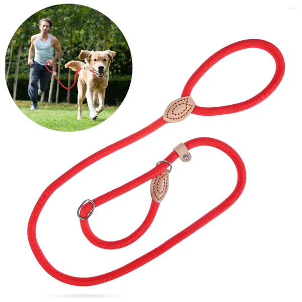 Collari per cani UEETEK Guinzaglio da addestramento Collare in nylon per animali domestici (Diametro rosso 14 cm)