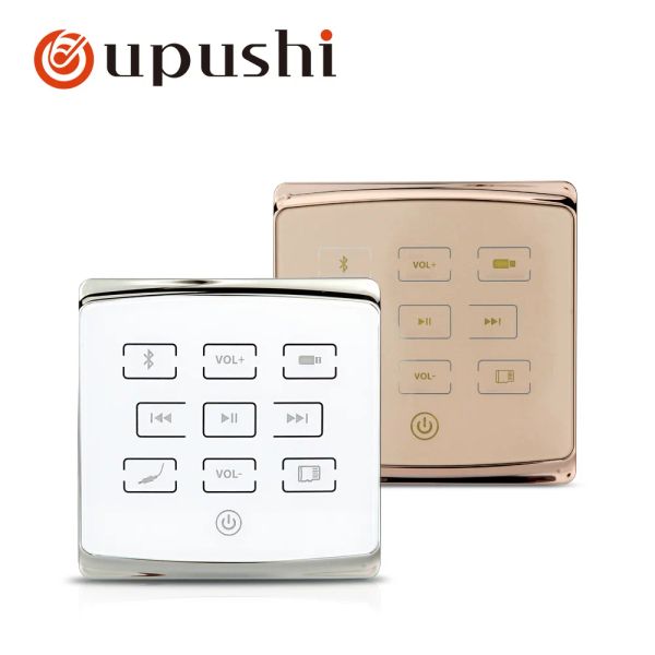 Lautsprecher Oupushi A1 Goldfarbe in Wandverstärker Deckenlautsprecher Audiosystem Bluetooths Fernbedienung USD-Karte TF-Karte für Zuhause