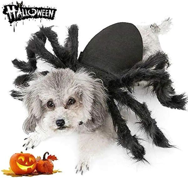 Roupas cão gato aranha traje para festa de halloween decoração halloween cosplay trajes para filhote de cachorro gato vestir-se acessórios