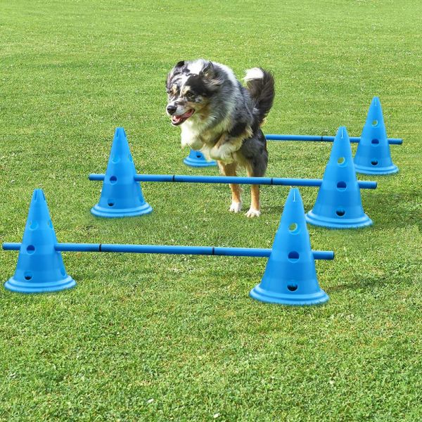 Ausrüstung 3Set Hundetrainingsprodukte Langlebige Hunde laufen Spring -Einsätze Haustiere Outdoor Sport Stake Pole tragbare Haustier -Agility -Geräte