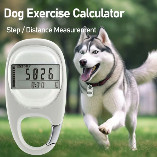 Attrezzatura Calcolatrice per l'esercizio quotidiano del cane Pet Sport digitale portatile Conteggio dei cani Contapassi Pedometro a distanza Suppili per cani
