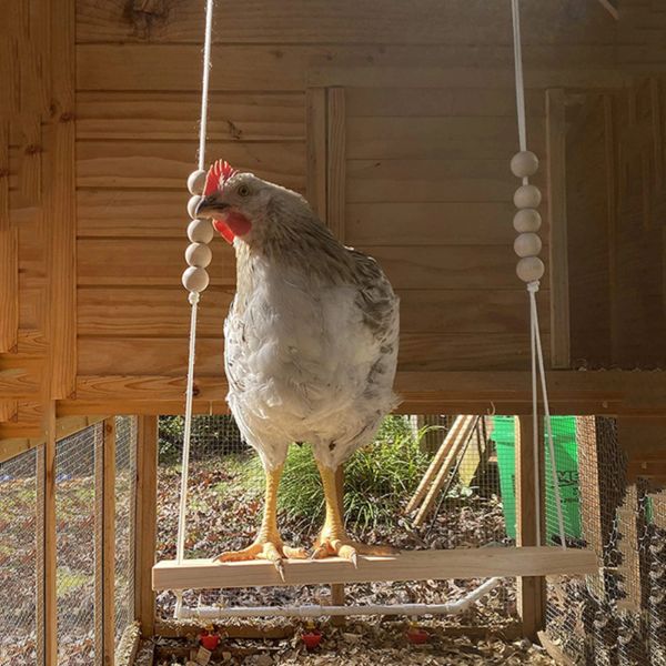 Accessori Altalena per polli in legno Giocattoli per polli Giocattolo per esercizi Fatto a mano Durevole intrattenimento Giocattolo antistress per polli Pollame