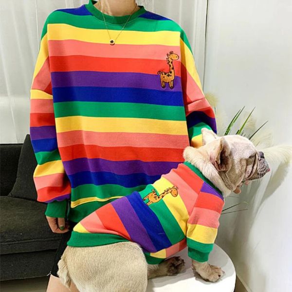 Hoodies Rainbow Stripe Fransız Bulldog Hoodies Köpek Eşleştirme Sahibi Kıyafetleri Kış Palto Aile Giysileri Evcil Hayvan Küçük Orta Köpekler ve Anne