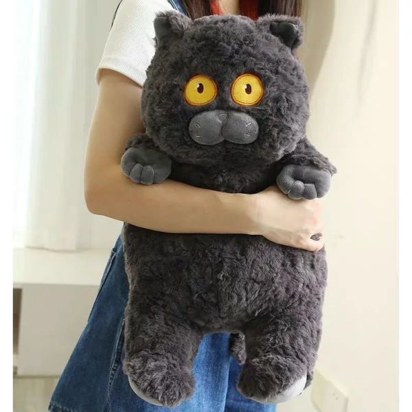 Cuscini Nuovi arrivano 40 cm giapponese kawaii morbido peluche giocattoli bambole per animali da ballo per bambini adorabili gatti grassi cuscino per la casa decorazione