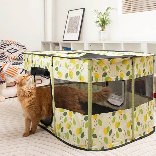 Esteiras casa do gato cama de gato casa de cachorro interior pet para camas gatos dobrável gatinho tenda coelho espaço para cuidar de animais de estimação cesta